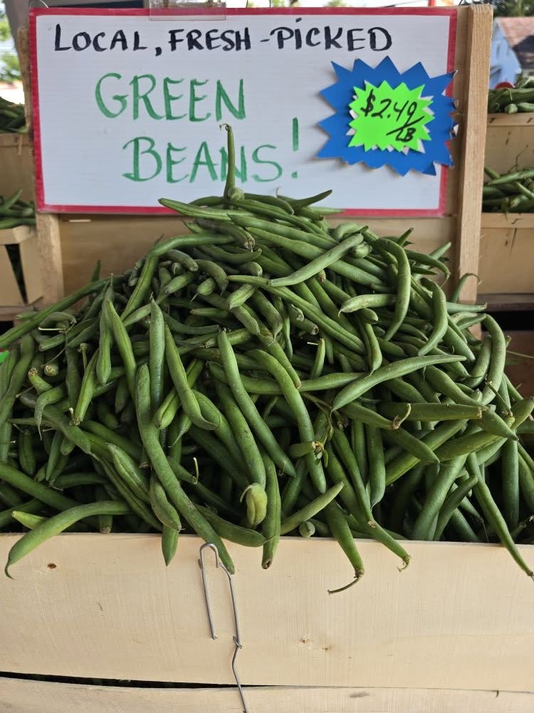 Fresh green beans