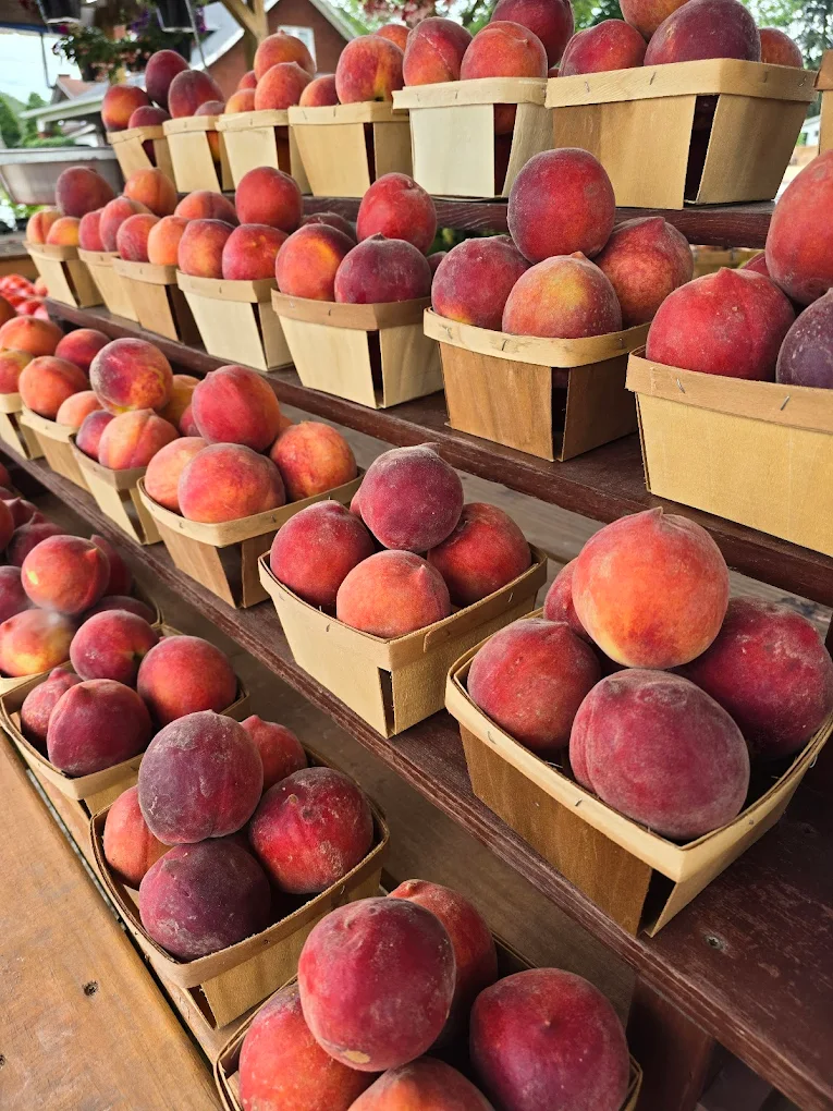 Bear Mountain orchard peaches